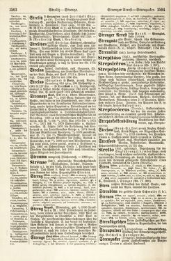 Bild der Seite - 1503 - 1504 - in Pierers Konversations-Lexikon - Rufen-Symi, Band 11