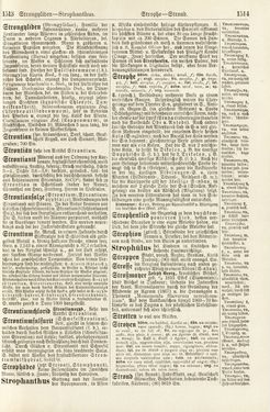 Bild der Seite - 1513 - 1514 - in Pierers Konversations-Lexikon - Rufen-Symi, Band 11