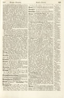 Bild der Seite - 1517 - 1518 - in Pierers Konversations-Lexikon - Rufen-Symi, Band 11