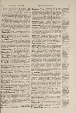 Image of the Page - 6 - in Pierers Konversations-Lexikon - Symmachie-Zz, Volume 12