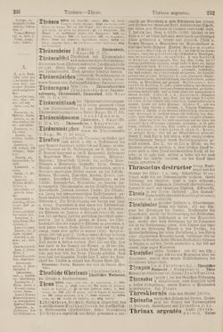 Image of the Page - 232 - in Pierers Konversations-Lexikon - Symmachie-Zz, Volume 12
