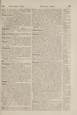 Image of the Page - 246 - in Pierers Konversations-Lexikon - Symmachie-Zz, Volume 12