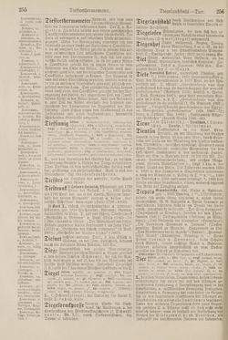 Image of the Page - 256 - in Pierers Konversations-Lexikon - Symmachie-Zz, Volume 12