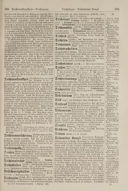 Image of the Page - 386 - in Pierers Konversations-Lexikon - Symmachie-Zz, Volume 12
