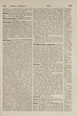Image of the Page - 1158 - in Pierers Konversations-Lexikon - Symmachie-Zz, Volume 12