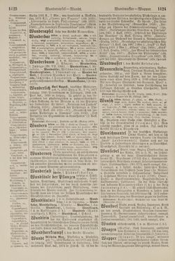 Image of the Page - 1424 - in Pierers Konversations-Lexikon - Symmachie-Zz, Volume 12