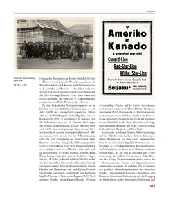 Image of the Page - 313 - in Enzyklopädie der slowenischen Kulturgeschichte in Kärnten/Koroška - Von den Anfängen bis 1942, Volume 1: A – I