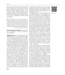 Image of the Page - 314 - in Enzyklopädie der slowenischen Kulturgeschichte in Kärnten/Koroška - Von den Anfängen bis 1942, Volume 1: A – I