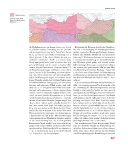Bild der Seite - 897 - in Enzyklopädie der slowenischen Kulturgeschichte in Kärnten/Koroška - Von den Anfängen bis 1942, Band 2 : J – Pl