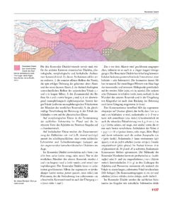 Image of the Page - 1137 - in Enzyklopädie der slowenischen Kulturgeschichte in Kärnten/Koroška - Von den Anfängen bis 1942, Volume 3 : PO - Ž