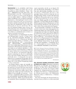 Bild der Seite - 1282 - in Enzyklopädie der slowenischen Kulturgeschichte in Kärnten/Koroška - Von den Anfängen bis 1942, Band 3 : PO - Ž