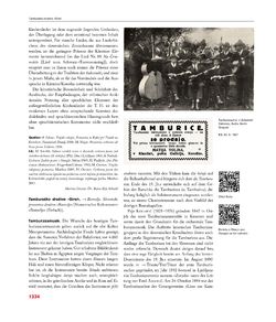 Bild der Seite - 1334 - in Enzyklopädie der slowenischen Kulturgeschichte in Kärnten/Koroška - Von den Anfängen bis 1942, Band 3 : PO - Ž