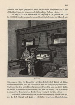 Image of the Page - 315 - in Die österreichisch-ungarische Monarchie in Wort und Bild - Wien und Niederösterreich, 1. Abteilung: Wien, Volume 1