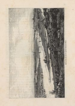 Image of the Page - 323 - in Die österreichisch-ungarische Monarchie in Wort und Bild - Wien und Niederösterreich, 1. Abteilung: Wien, Volume 1