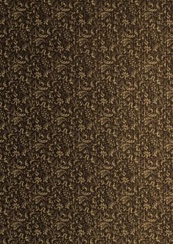 Bild der Seite - Vorsatzblatt hinten - in Die österreichisch-ungarische Monarchie in Wort und Bild - Wien und Niederösterreich, 1. Abteilung: Wien, Band 1