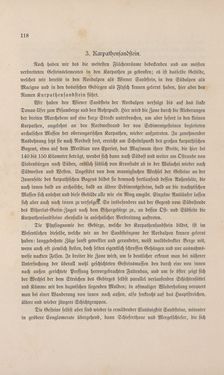 Bild der Seite - 118 - in Die österreichisch-ungarische Monarchie in Wort und Bild - Übersichtsband, 1. Abteilung: Naturgeschichtlicher Teil, Band 2