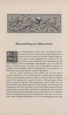 Image of the Page - 185 - in Die österreichisch-ungarische Monarchie in Wort und Bild - Übersichtsband, 1. Abteilung: Naturgeschichtlicher Teil, Volume 2
