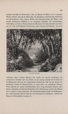 Bild der Seite - 189 - in Die österreichisch-ungarische Monarchie in Wort und Bild - Übersichtsband, 1. Abteilung: Naturgeschichtlicher Teil, Band 2