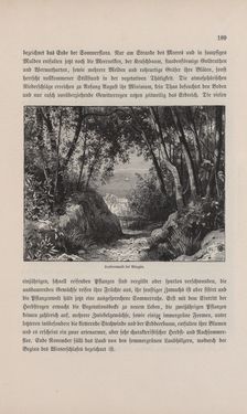 Image of the Page - 189 - in Die österreichisch-ungarische Monarchie in Wort und Bild - Übersichtsband, 1. Abteilung: Naturgeschichtlicher Teil, Volume 2
