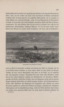 Bild der Seite - 209 - in Die österreichisch-ungarische Monarchie in Wort und Bild - Übersichtsband, 1. Abteilung: Naturgeschichtlicher Teil, Band 2