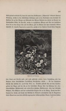 Bild der Seite - 227 - in Die österreichisch-ungarische Monarchie in Wort und Bild - Übersichtsband, 1. Abteilung: Naturgeschichtlicher Teil, Band 2