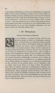 Image of the Page - 256 - in Die österreichisch-ungarische Monarchie in Wort und Bild - Übersichtsband, 1. Abteilung: Naturgeschichtlicher Teil, Volume 2