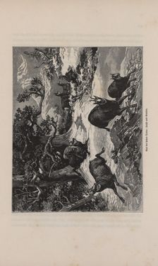 Image of the Page - 263 - in Die österreichisch-ungarische Monarchie in Wort und Bild - Übersichtsband, 1. Abteilung: Naturgeschichtlicher Teil, Volume 2