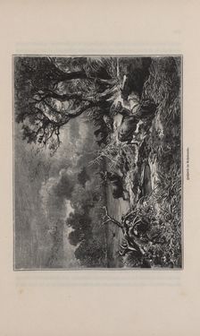 Image of the Page - 285 - in Die österreichisch-ungarische Monarchie in Wort und Bild - Übersichtsband, 1. Abteilung: Naturgeschichtlicher Teil, Volume 2