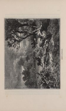 Bild der Seite - 285 - in Die österreichisch-ungarische Monarchie in Wort und Bild - Übersichtsband, 1. Abteilung: Naturgeschichtlicher Teil, Band 2