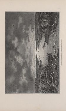 Image of the Page - 297 - in Die österreichisch-ungarische Monarchie in Wort und Bild - Übersichtsband, 1. Abteilung: Naturgeschichtlicher Teil, Volume 2