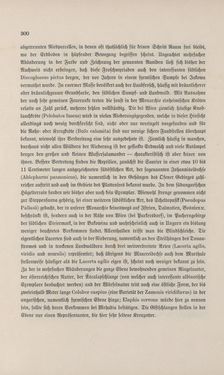 Bild der Seite - 300 - in Die österreichisch-ungarische Monarchie in Wort und Bild - Übersichtsband, 1. Abteilung: Naturgeschichtlicher Teil, Band 2