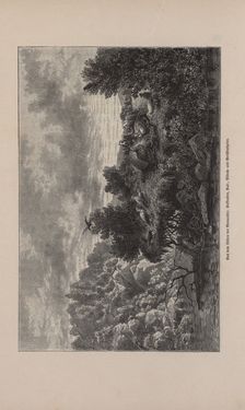 Image of the Page - 311 - in Die österreichisch-ungarische Monarchie in Wort und Bild - Übersichtsband, 1. Abteilung: Naturgeschichtlicher Teil, Volume 2