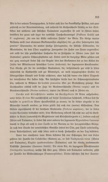 Image of the Page - 313 - in Die österreichisch-ungarische Monarchie in Wort und Bild - Übersichtsband, 1. Abteilung: Naturgeschichtlicher Teil, Volume 2