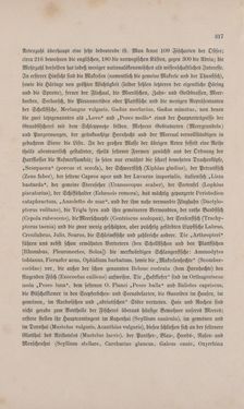 Image of the Page - 317 - in Die österreichisch-ungarische Monarchie in Wort und Bild - Übersichtsband, 1. Abteilung: Naturgeschichtlicher Teil, Volume 2