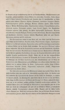 Bild der Seite - 324 - in Die österreichisch-ungarische Monarchie in Wort und Bild - Übersichtsband, 1. Abteilung: Naturgeschichtlicher Teil, Band 2