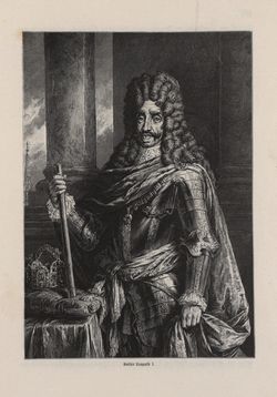 Image of the Page - 123 - in Die österreichisch-ungarische Monarchie in Wort und Bild - Übersichtsband, 1. Abteilung: Geschichtlicher Teil, Volume 3