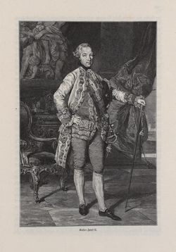 Image of the Page - 195 - in Die österreichisch-ungarische Monarchie in Wort und Bild - Übersichtsband, 1. Abteilung: Geschichtlicher Teil, Volume 3