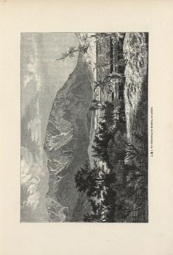 Bild der Seite - 75 - in Die österreichisch-ungarische Monarchie in Wort und Bild - Wien und Niederösterreich, 2. Abteilung: Niederösterreich, Band 4