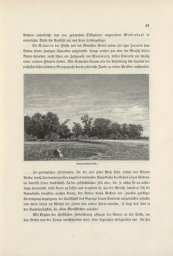 Image of the Page - 87 - in Die österreichisch-ungarische Monarchie in Wort und Bild - Wien und Niederösterreich, 2. Abteilung: Niederösterreich, Volume 4