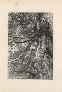 Image of the Page - 109 - in Die österreichisch-ungarische Monarchie in Wort und Bild - Wien und Niederösterreich, 2. Abteilung: Niederösterreich, Volume 4