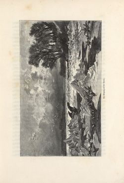 Image of the Page - 113 - in Die österreichisch-ungarische Monarchie in Wort und Bild - Wien und Niederösterreich, 2. Abteilung: Niederösterreich, Volume 4