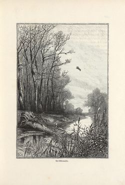 Image of the Page - 117 - in Die österreichisch-ungarische Monarchie in Wort und Bild - Wien und Niederösterreich, 2. Abteilung: Niederösterreich, Volume 4