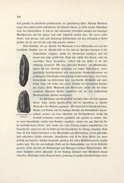 Bild der Seite - 126 - in Die österreichisch-ungarische Monarchie in Wort und Bild - Wien und Niederösterreich, 2. Abteilung: Niederösterreich, Band 4