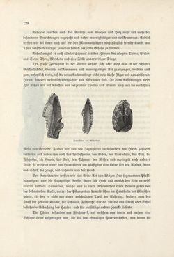 Image of the Page - 128 - in Die österreichisch-ungarische Monarchie in Wort und Bild - Wien und Niederösterreich, 2. Abteilung: Niederösterreich, Volume 4