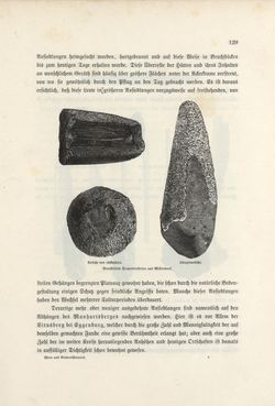 Image of the Page - 129 - in Die österreichisch-ungarische Monarchie in Wort und Bild - Wien und Niederösterreich, 2. Abteilung: Niederösterreich, Volume 4