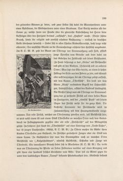 Image of the Page - 199 - in Die österreichisch-ungarische Monarchie in Wort und Bild - Wien und Niederösterreich, 2. Abteilung: Niederösterreich, Volume 4
