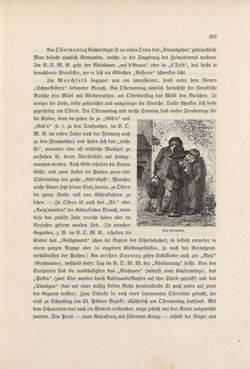 Bild der Seite - 201 - in Die österreichisch-ungarische Monarchie in Wort und Bild - Wien und Niederösterreich, 2. Abteilung: Niederösterreich, Band 4