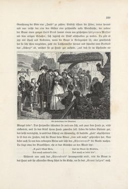 Image of the Page - 229 - in Die österreichisch-ungarische Monarchie in Wort und Bild - Wien und Niederösterreich, 2. Abteilung: Niederösterreich, Volume 4