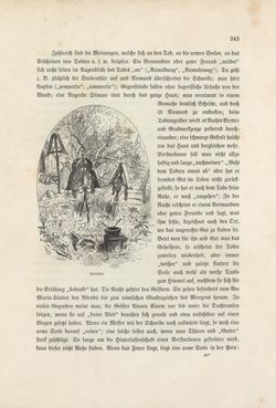 Image of the Page - 243 - in Die österreichisch-ungarische Monarchie in Wort und Bild - Wien und Niederösterreich, 2. Abteilung: Niederösterreich, Volume 4