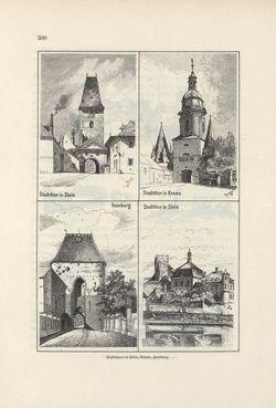 Bild der Seite - 300 - in Die österreichisch-ungarische Monarchie in Wort und Bild - Wien und Niederösterreich, 2. Abteilung: Niederösterreich, Band 4